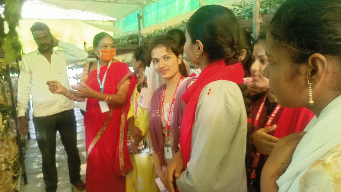 Traditional Attire Day Group